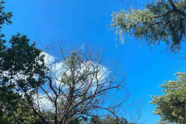 濟南高新區分局“四維聚力” 扎實推進夏秋季大氣污染防治攻堅